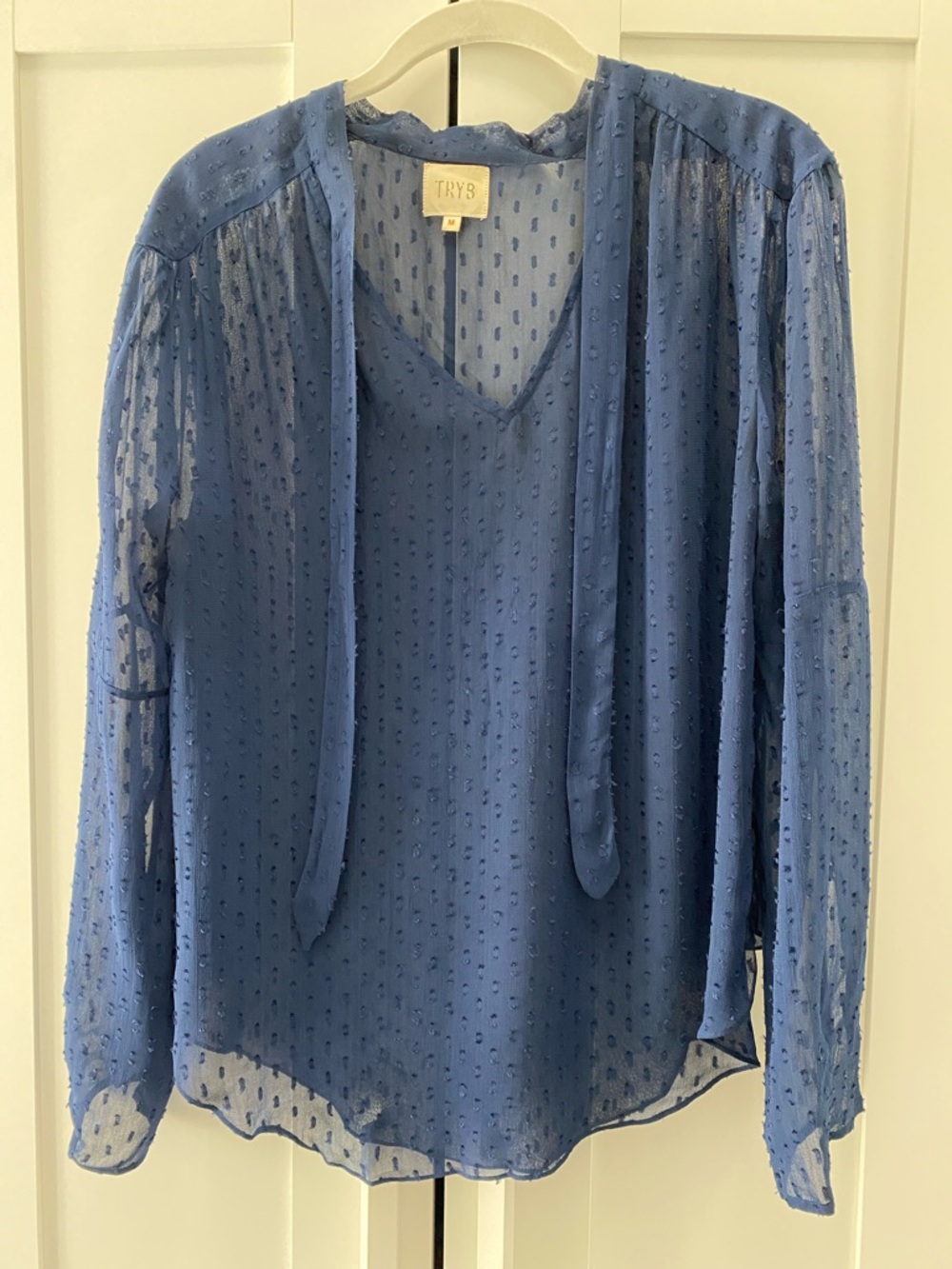 Blue Sheer Swiss Dot Tie-Neck Blouse
